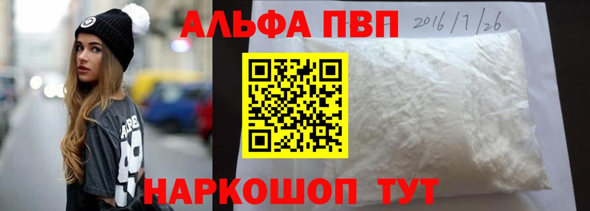 A PVP СК КРИС Белгород