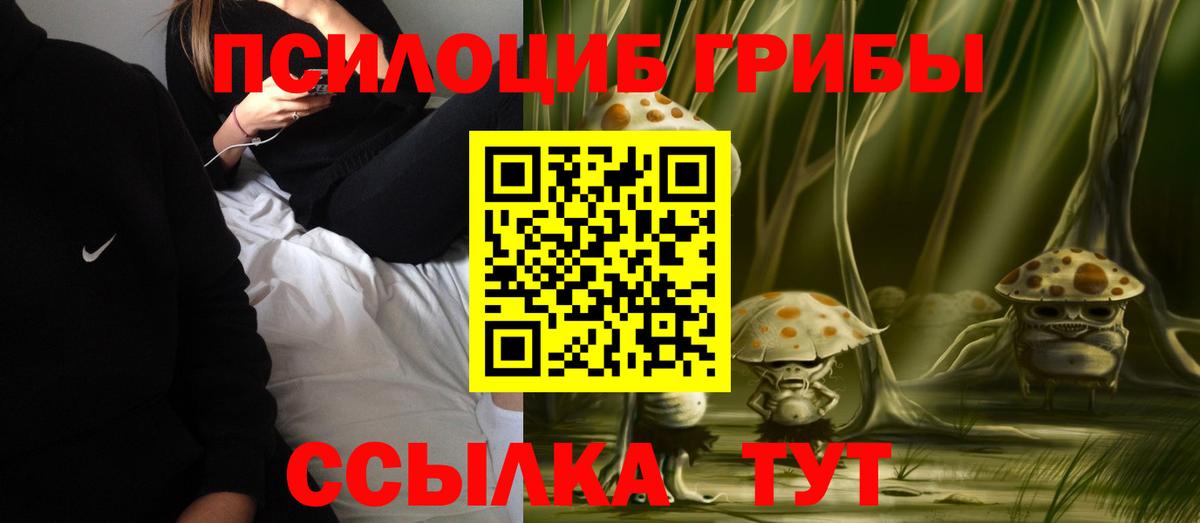 Псилоцибиновые грибы MAGIC MUSHROOMS  Вход с VPN  где купить наркоту  Белгород 